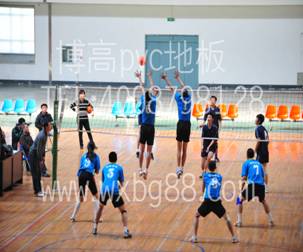 室內排球運動發展，騰方排球場地膠相助