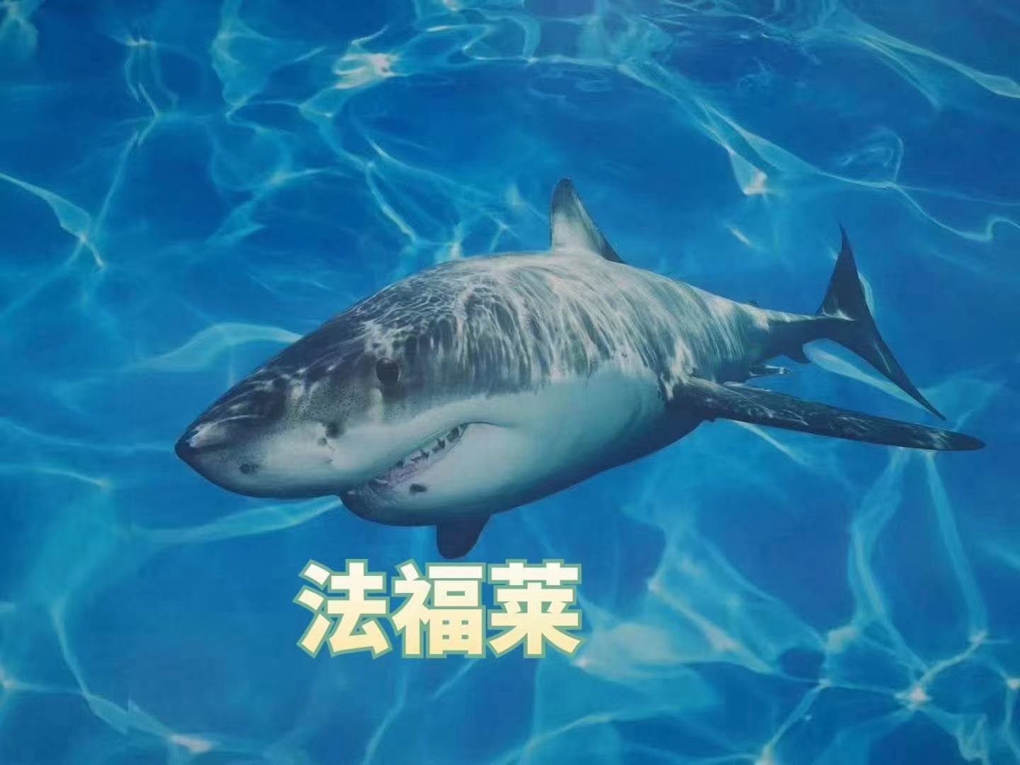 關于PVC地板的幾項錯誤認知，您有過嗎【騰方PVC地板】